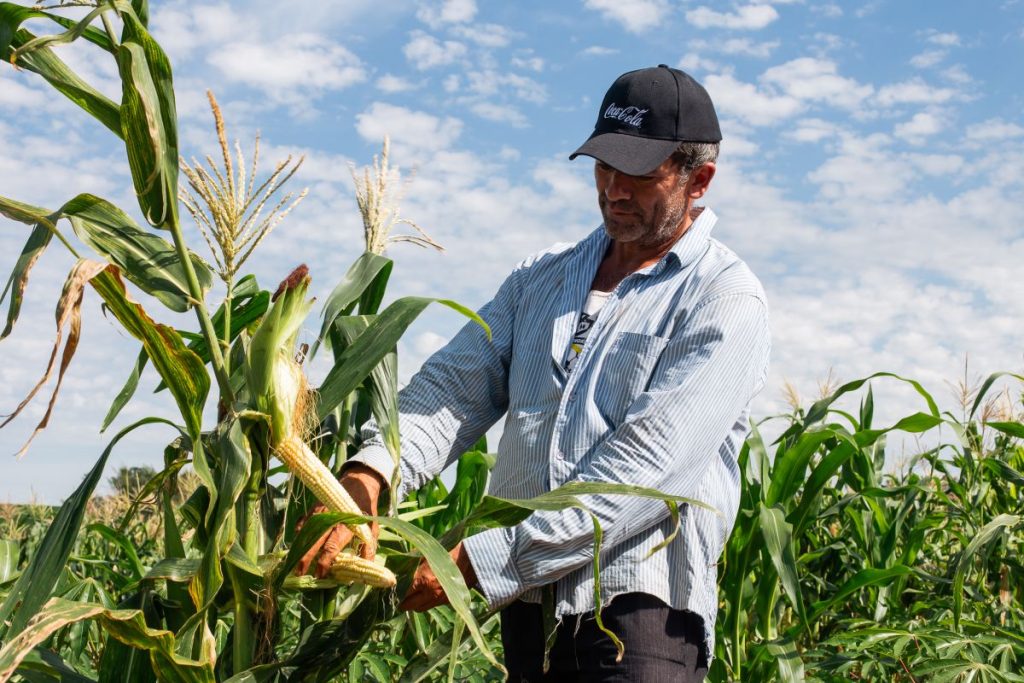 Coca-Cola Paresa y Fundación Moisés Bertoni regeneran 674 hectáreas y apoyan a 160 familias en Mbaracayú Coca-Cola Paresa y Fundación Moisés Bertoni regeneran 674 hectáreas y apoyan a 160 familias en Mbaracayú